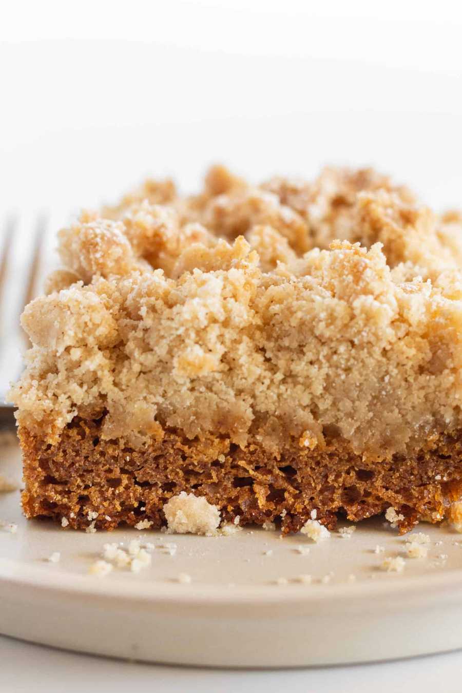 Moist coffee cake topped with crunchy cinnamon streusel and a dusting of powdered sugar